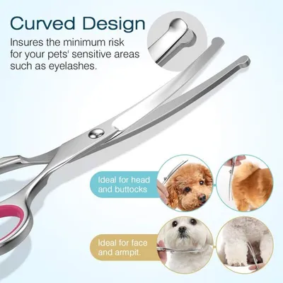 Ciseaux de Toilettage pour Chien, Ensemble de 5 Outils