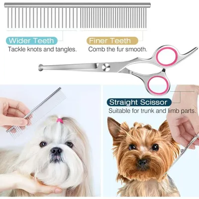 Ciseaux de Toilettage pour Chien, Ensemble de 5 Outils
