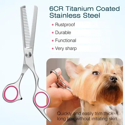 Ciseaux de Toilettage pour Chien, Ensemble de 5 Outils