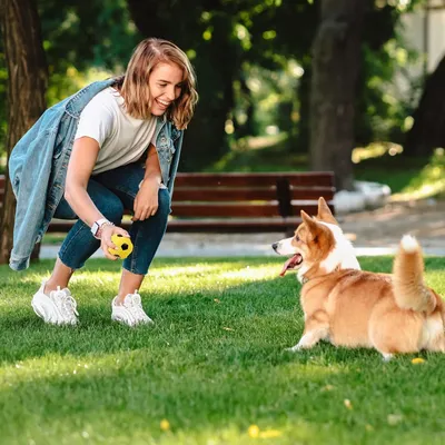 ZooVenture Caoutchouc latex nettoyage dents 2pcs balle jouet pour chien