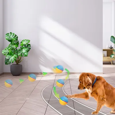 Pet Planet Balle jouet électrique télécommandée