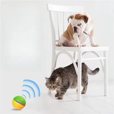 Pet Planet Balle jouet électrique télécommandée