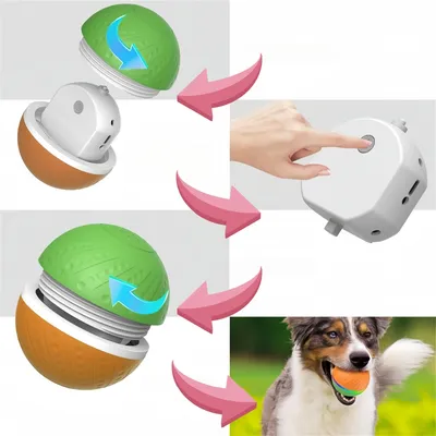 Pet Planet Balle jouet électrique télécommandée