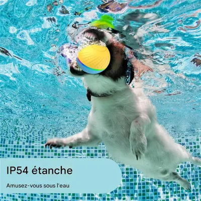 Pet Planet Balle jouet électrique télécommandée