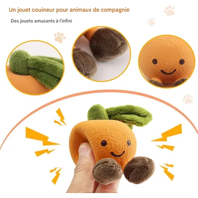 ZooVenture Jouet forme fruit latex souple pour chien