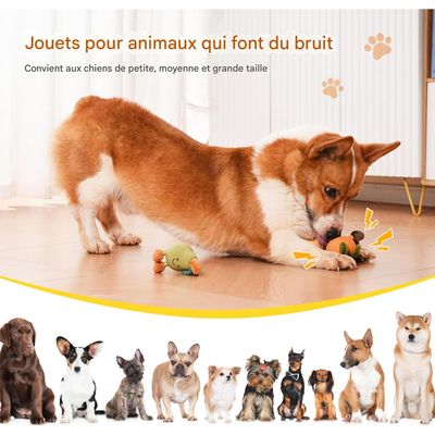 ZooVenture Jouet forme fruit latex souple pour chien