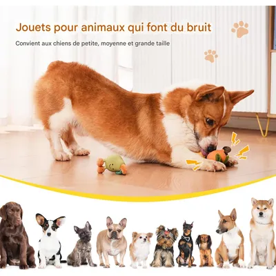 Pet Planet ZooVenture Jouet forme fruit latex souple pour chien