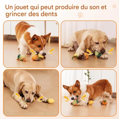 ZooVenture Jouet forme fruit latex souple pour chien