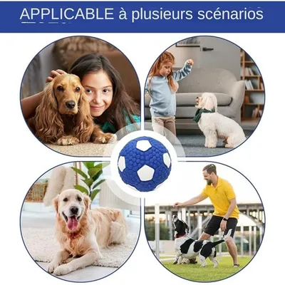 Pet Planet Chiens Jouet De Balle En Caoutchouc