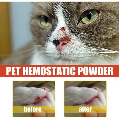 IntiMeg Polvo hemostático para perros y gatos