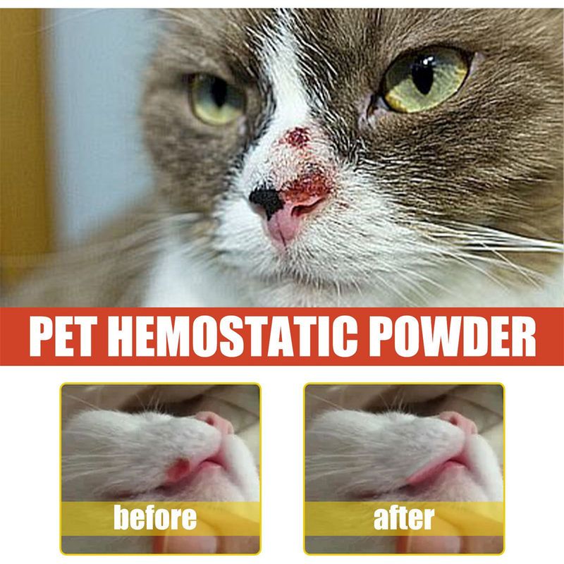 IntiMeg Poudre styptique pour chiens et chats
