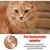 IntiMeg Poudre styptique pour chiens et chats