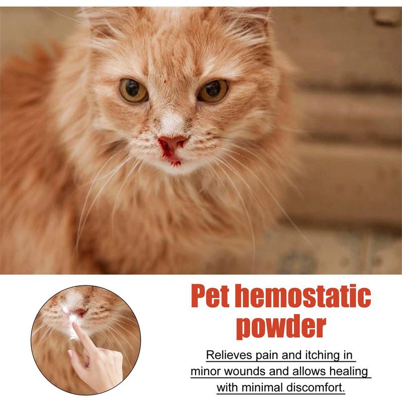 IntiMeg Poudre styptique pour chiens et chats