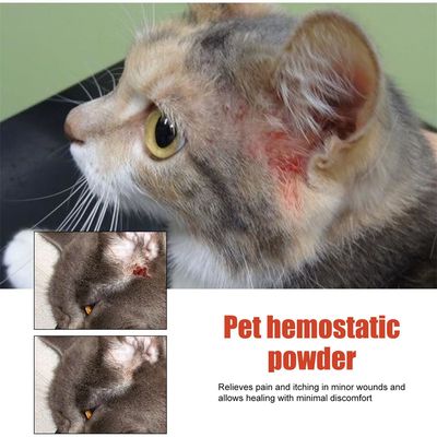 IntiMeg Poudre styptique pour chiens et chats