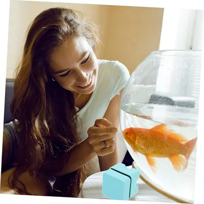 Pet Planet Aquariums Brosses De Nettoyage Magnétiques
