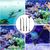 Pet Planet Animaux D'Aquarium Kit D'Outils De Nettoyage Pour Aquarium