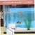 Pet Planet Aquariums Brosses De Nettoyage Magnétiques