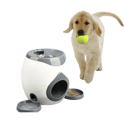 FurryFusion Lanceur automatique de balles pour chien