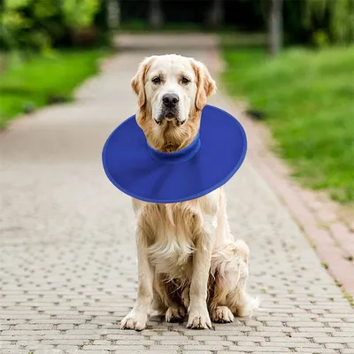 IntiMeg Collerette de protection pour chien et chat