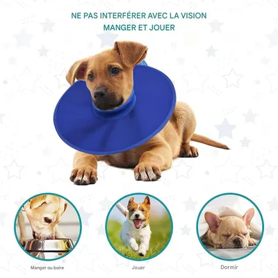 IntiMeg Collerette de protection pour chien et chat