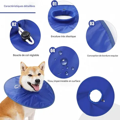 IntiMeg Collerette de protection pour chien et chat