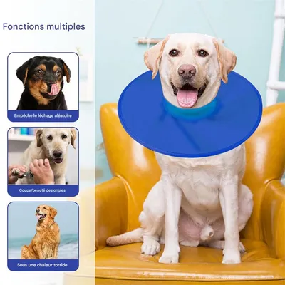 IntiMeg Collerette de protection pour chien et chat