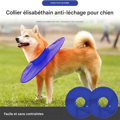 IntiMeg Collerette de protection pour chien et chat