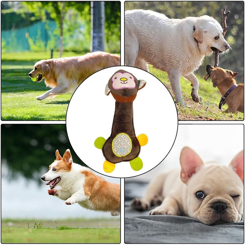 ZooVenture Jouets grinçants interactifs 3 pièces pour chien