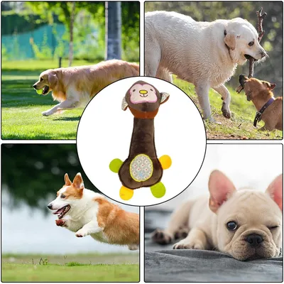 ZooVenture Jouets grinçants interactifs 3 pièces pour chien