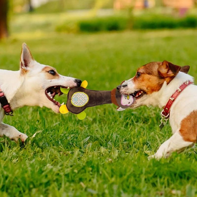 ZooVenture Jouets grinçants interactifs 3 pièces pour chien