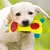 ZooVenture Jouets grinçants interactifs 3 pièces pour chien