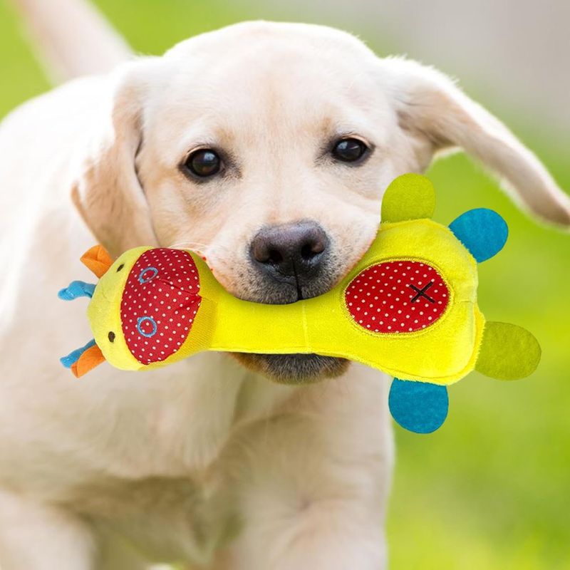 ZooVenture Jouets grinçants interactifs 3 pièces pour chien