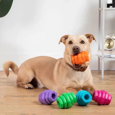 Project Hive – Hive Chew Toy – Jouet flottant à remplir pour chiens