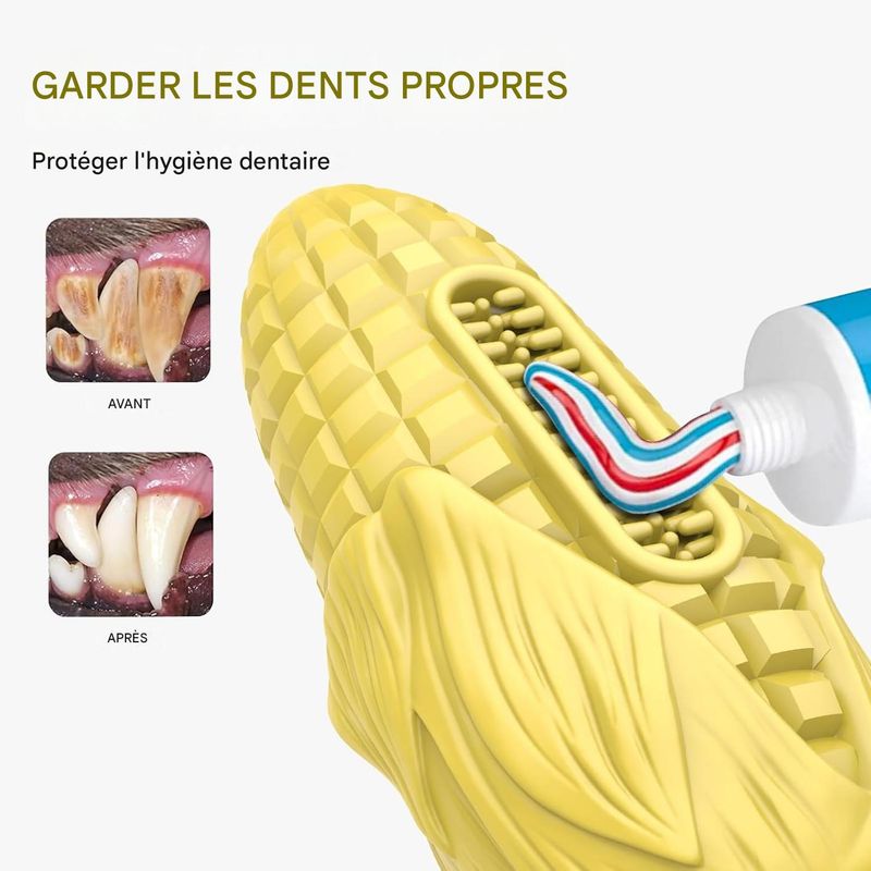 ZooVenture Jouet à mâcher maïs dentition pour chien