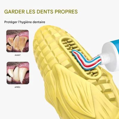 ZooVenture Jouet à mâcher maïs dentition pour chien