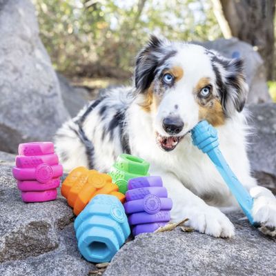 Project Hive – Hive Chew Toy – Jouet flottant à remplir pour chiens