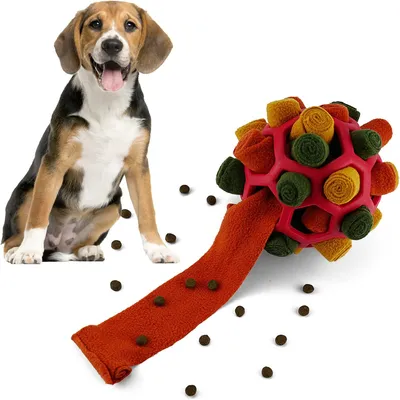 IntiMeg Balle à renifler pour chien