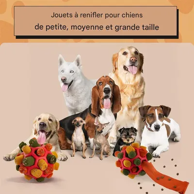 IntiMeg Balle à renifler pour chien