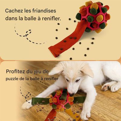 IntiMeg Balle à renifler pour chien