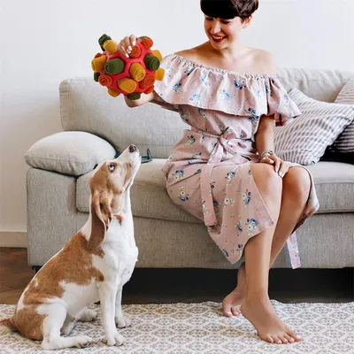 IntiMeg Balle à renifler pour chien