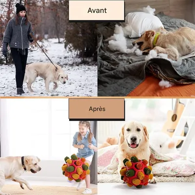 IntiMeg Balle à renifler pour chien