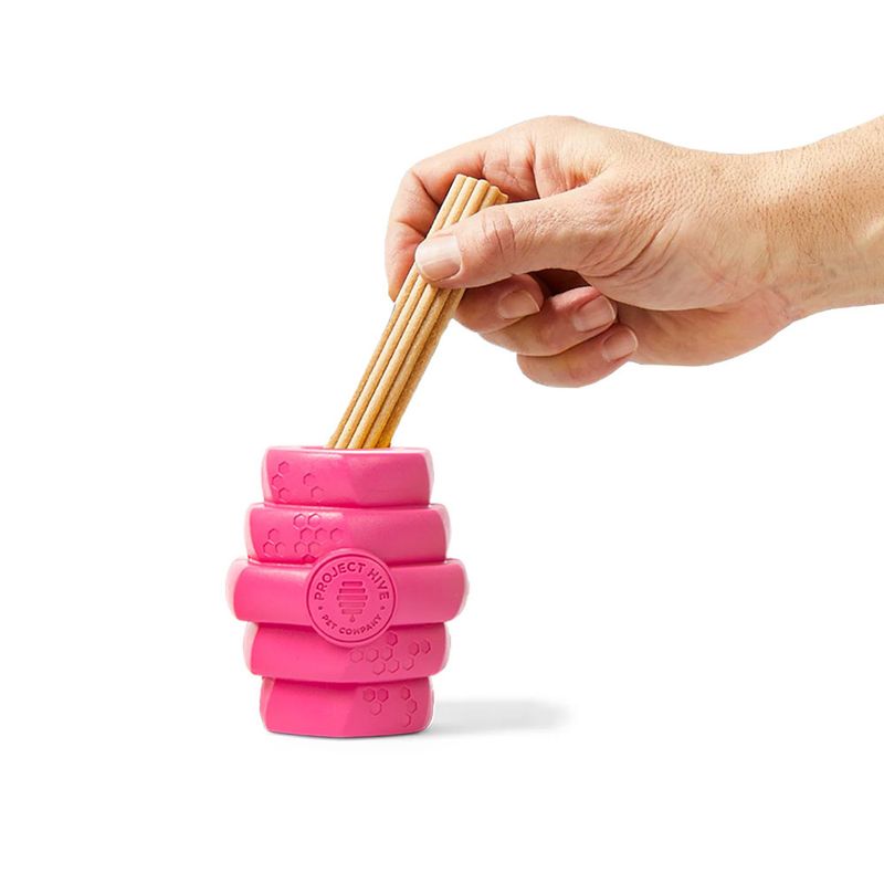 Project Hive – Hive Chew Toy – Jouet flottant à remplir pour chiens