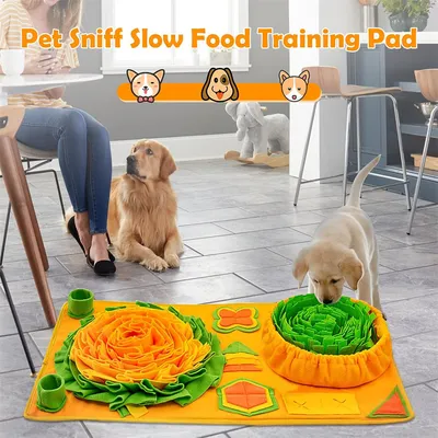 IntiMeg Tapis de reniflement pour chien