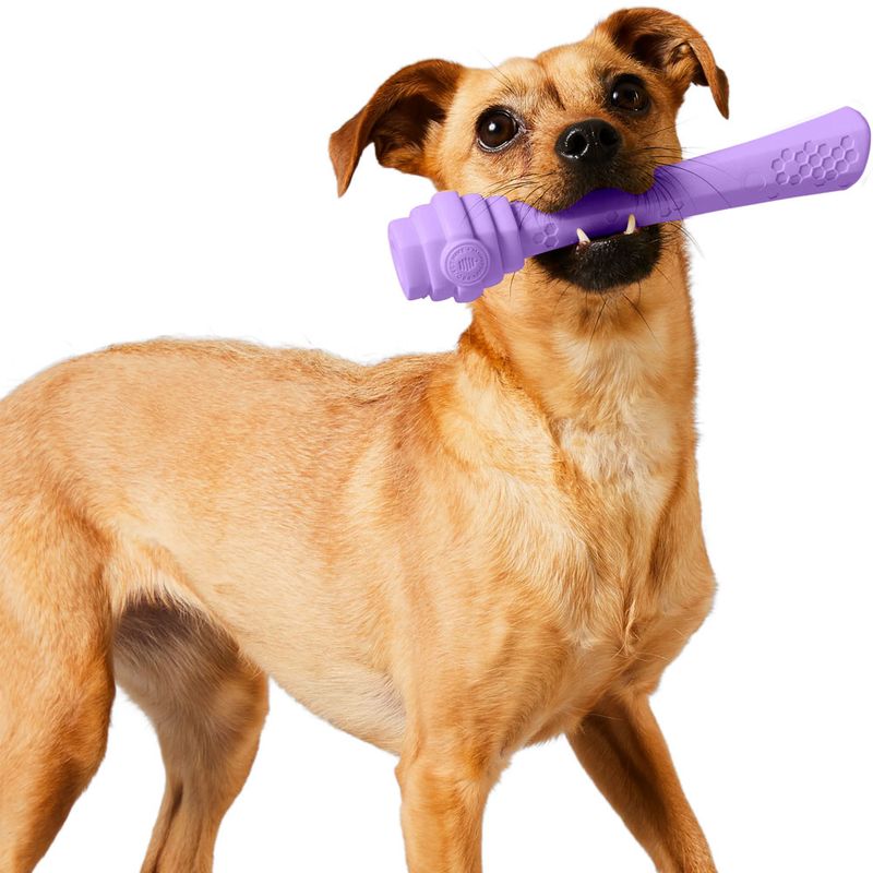Project Hive Fetch Stick – Bâton flottant à lancer et à remplir