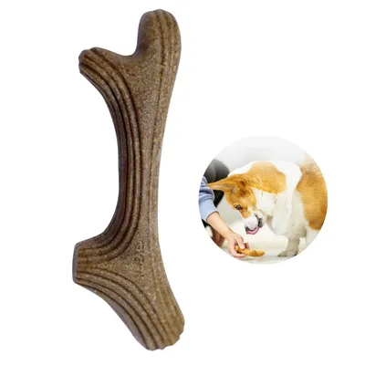 Pet Planet Os de griffage  pour chien