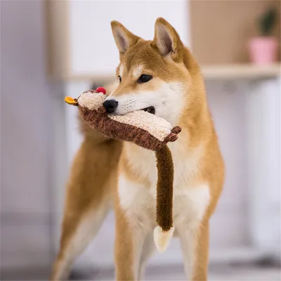 Pet Planet Jouet en peluche pour chien en forme de putois (avec son)