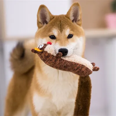Pet Planet Jouet en peluche pour chien en forme de putois (avec son)