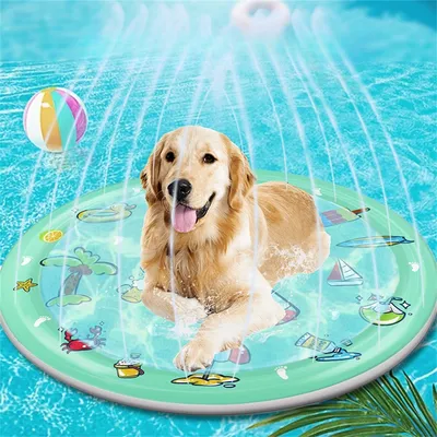 IntiMeg Tapis de jeu à eau pour chat en chien
