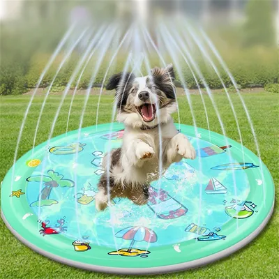 IntiMeg Tapis de jeu à eau pour chat en chien