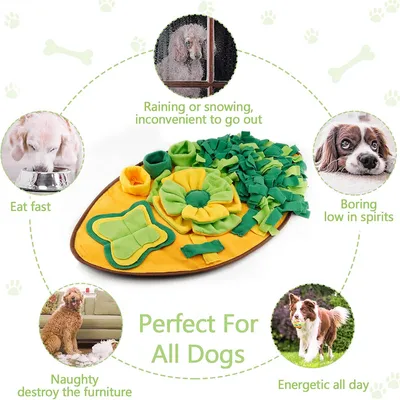 IntiMeg Tapis de reniflement pour chien